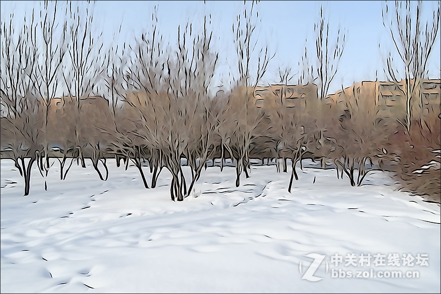 用HX400的“插图”模式拍摄的【雪景】