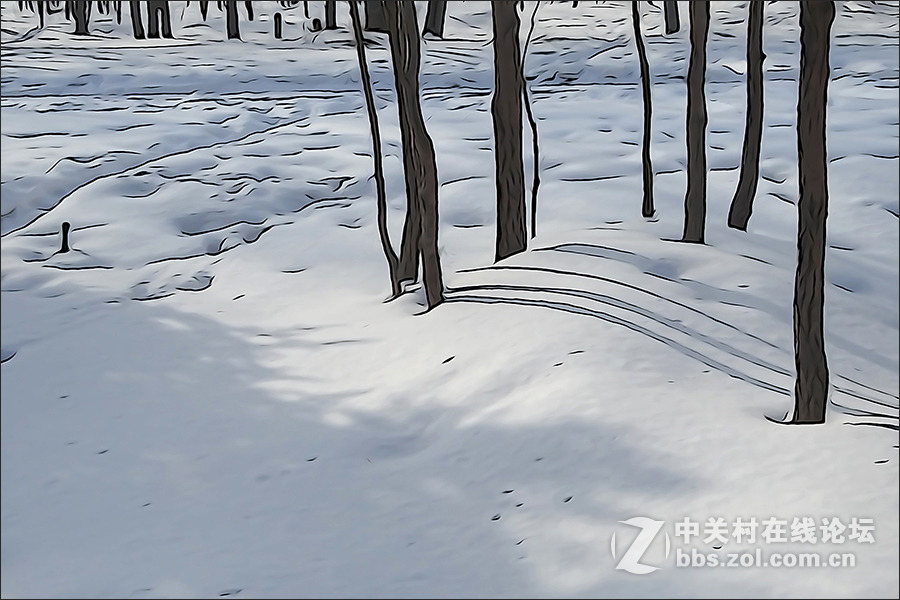 用HX400的“插图”模式拍摄的【雪景】