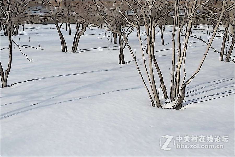 用HX400的“插图”模式拍摄的【雪景】