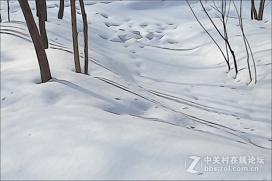 用HX400的“插图”模式拍摄的【雪景】