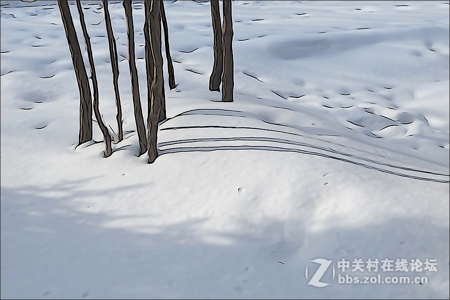 用HX400的“插图”模式拍摄的【雪景】