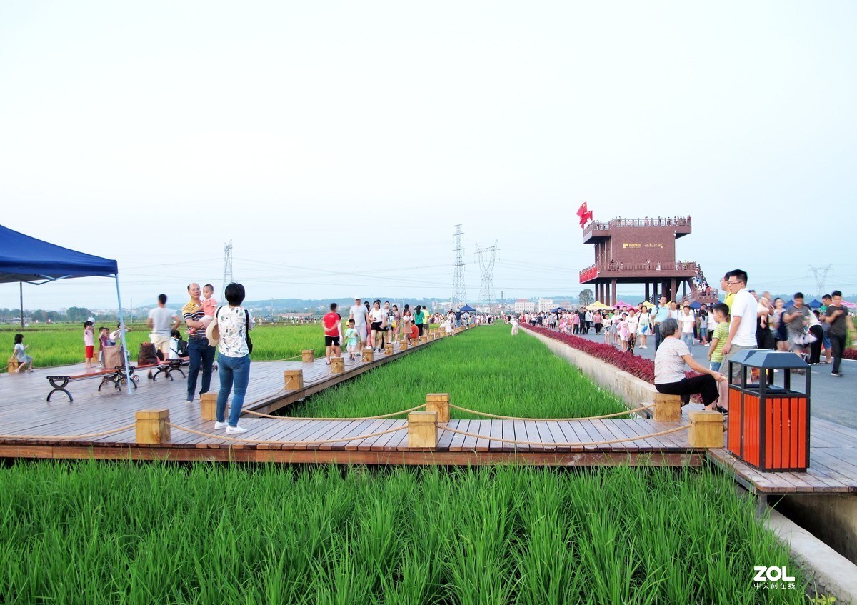 茂名市牙象村~大地艺术公园