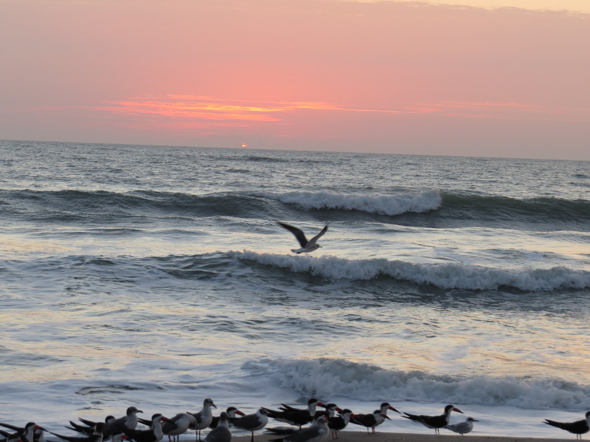 现拍现传海上日出10张