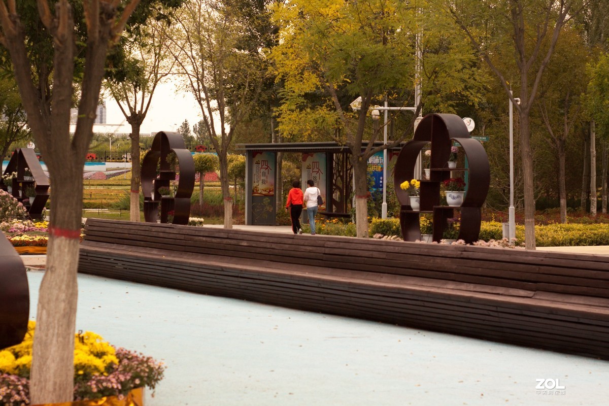花博园秋日小景