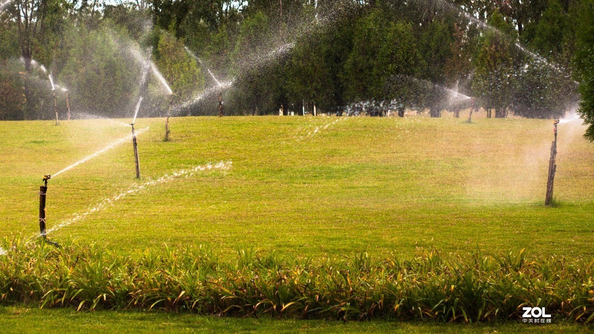 花博园秋日小景