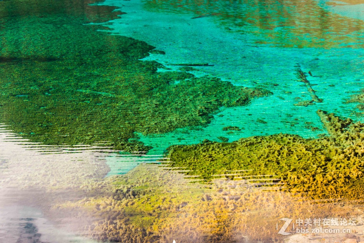 九寨之美    拍的不好不要介意