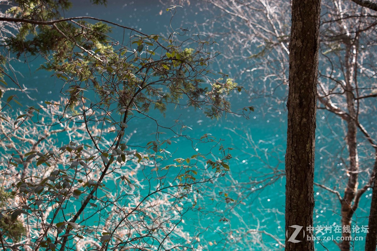 九寨之美    拍的不好不要介意