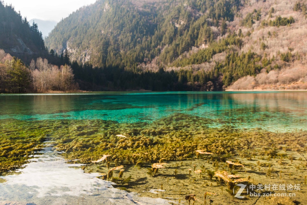九寨之美    拍的不好不要介意