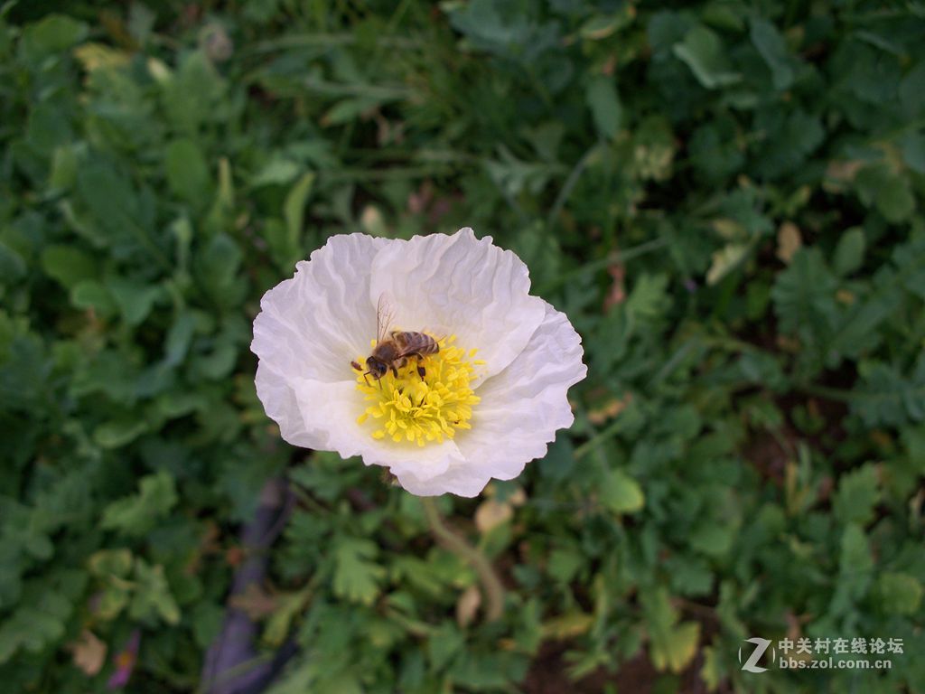 晨练随拍——阴天下的尝试