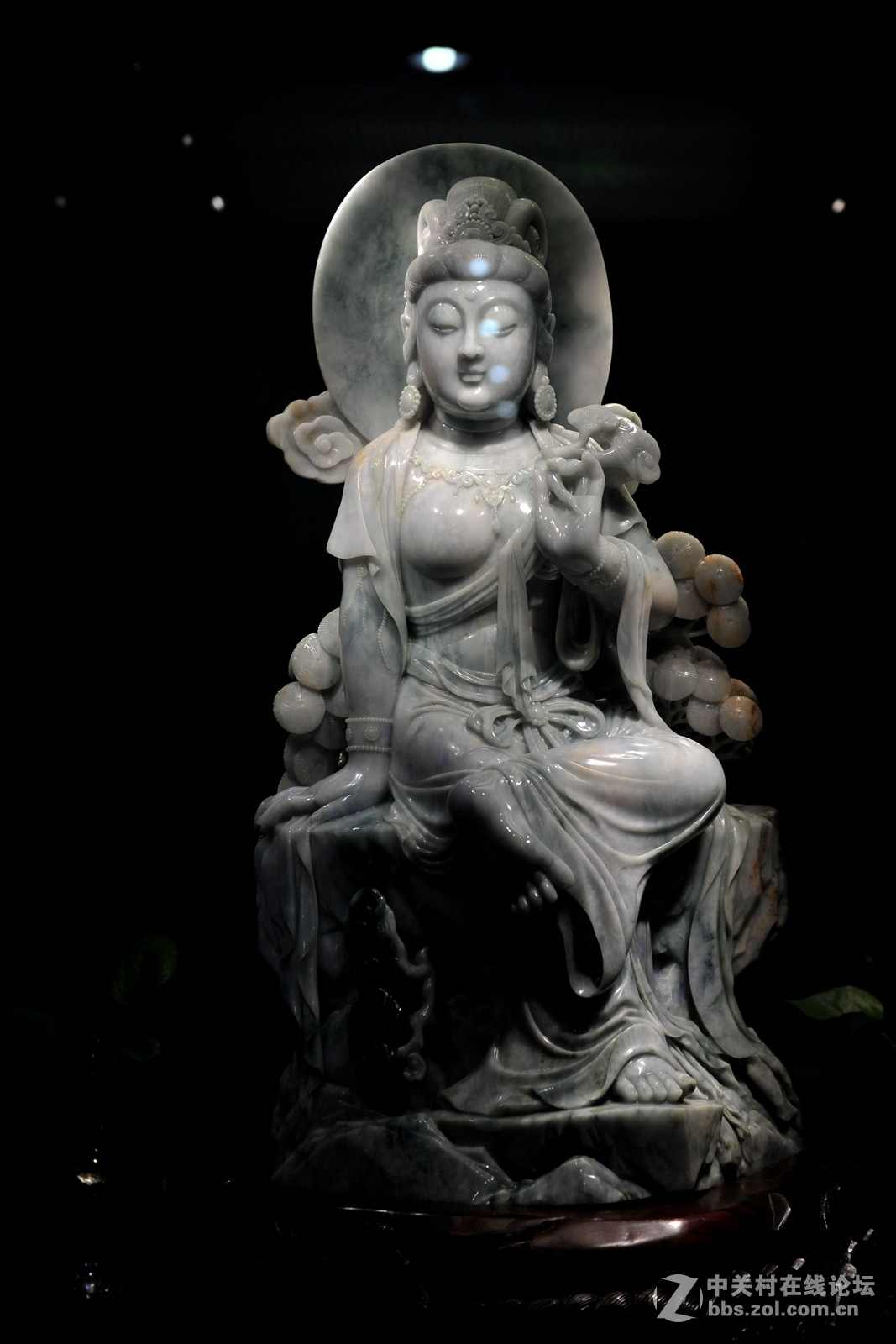 菩提萨埵--文博园摄（旭中冰雪)