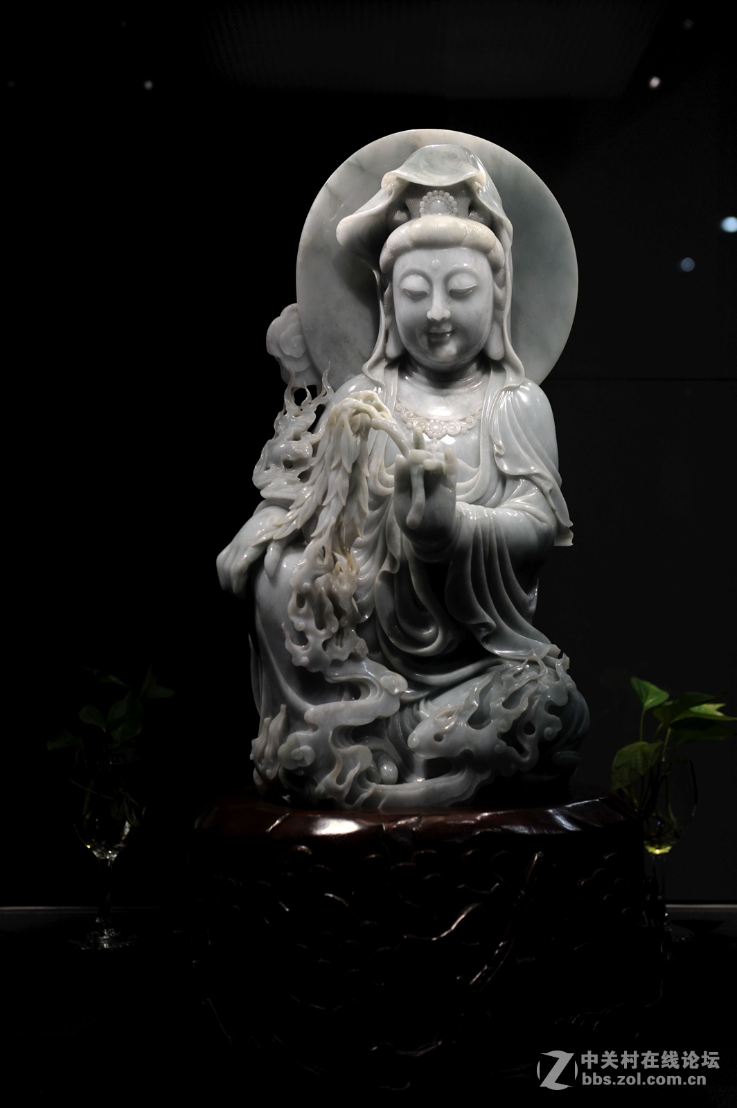 菩提萨埵--文博园摄（旭中冰雪)