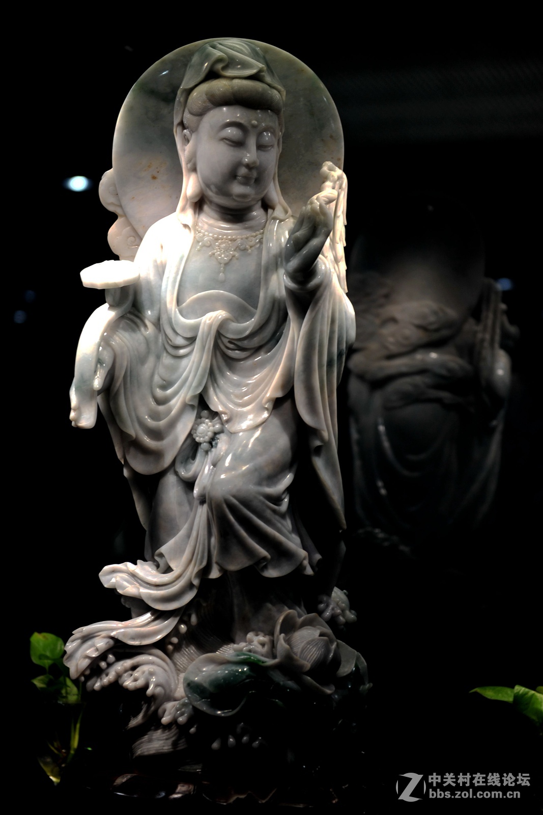 菩提萨埵--文博园摄（旭中冰雪)