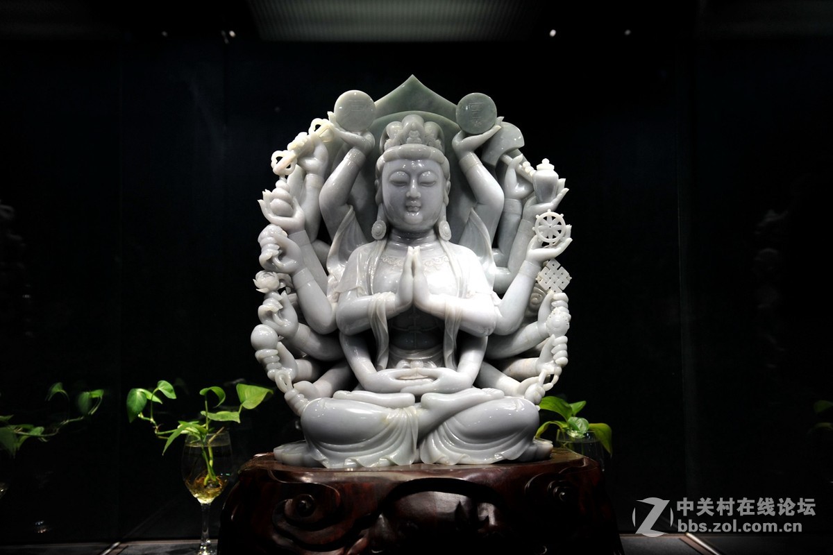 菩提萨埵--文博园摄（旭中冰雪)