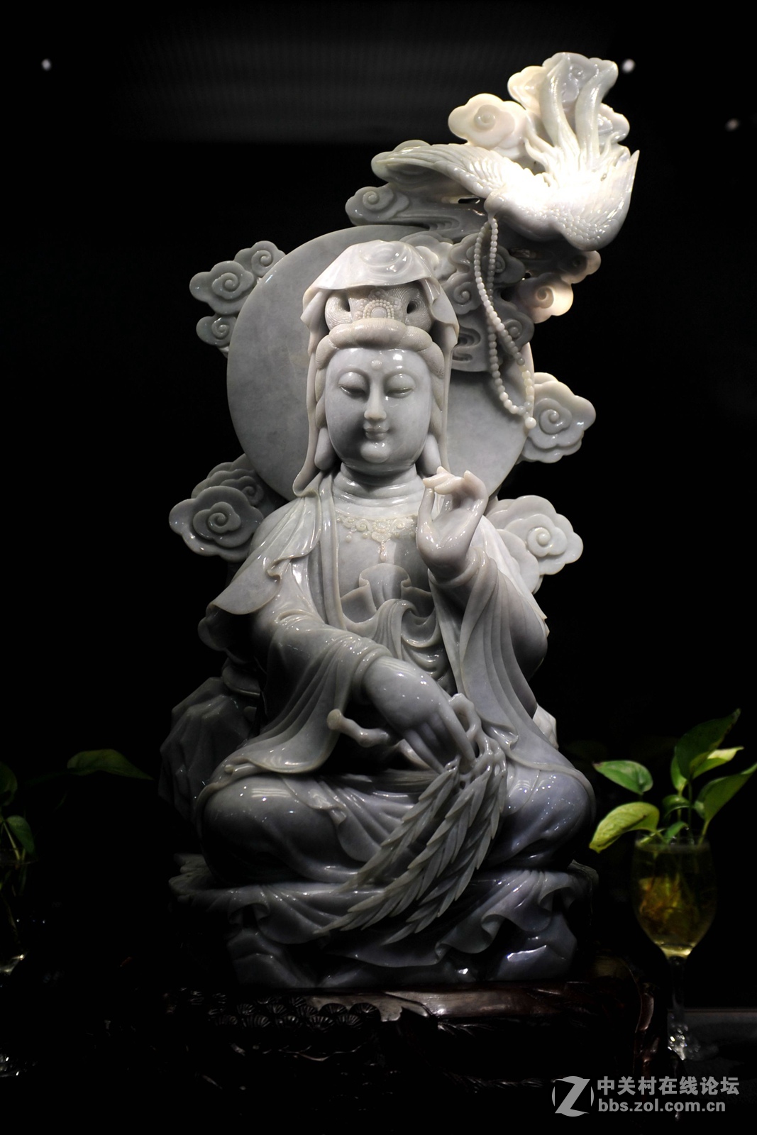 菩提萨埵--文博园摄（旭中冰雪)