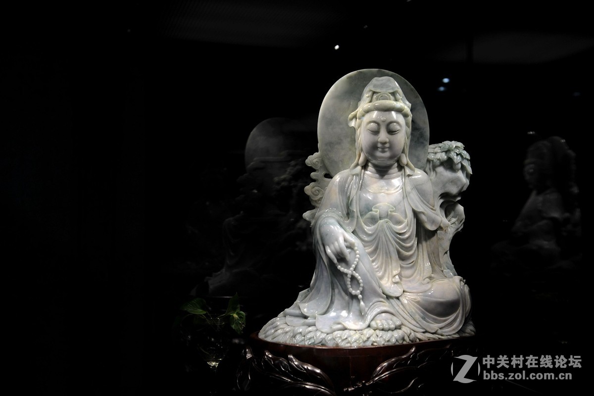 菩提萨埵--文博园摄（旭中冰雪)