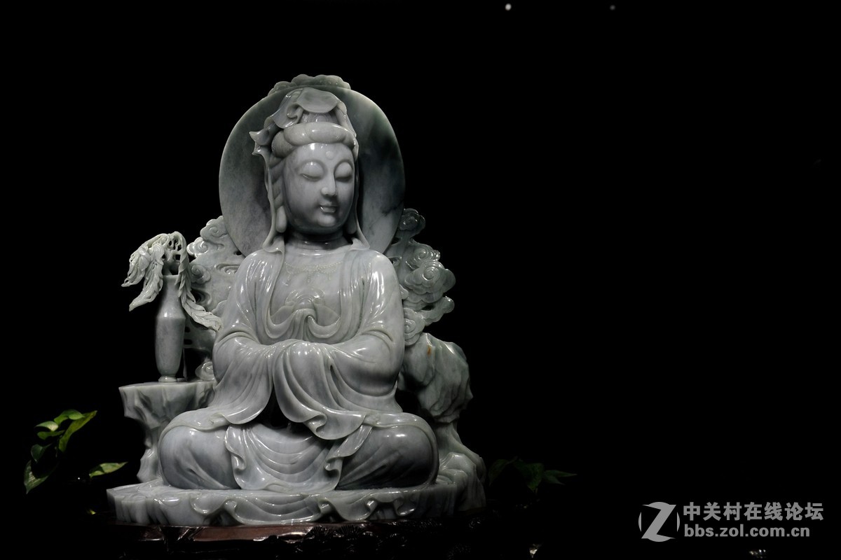 菩提萨埵--文博园摄（旭中冰雪)