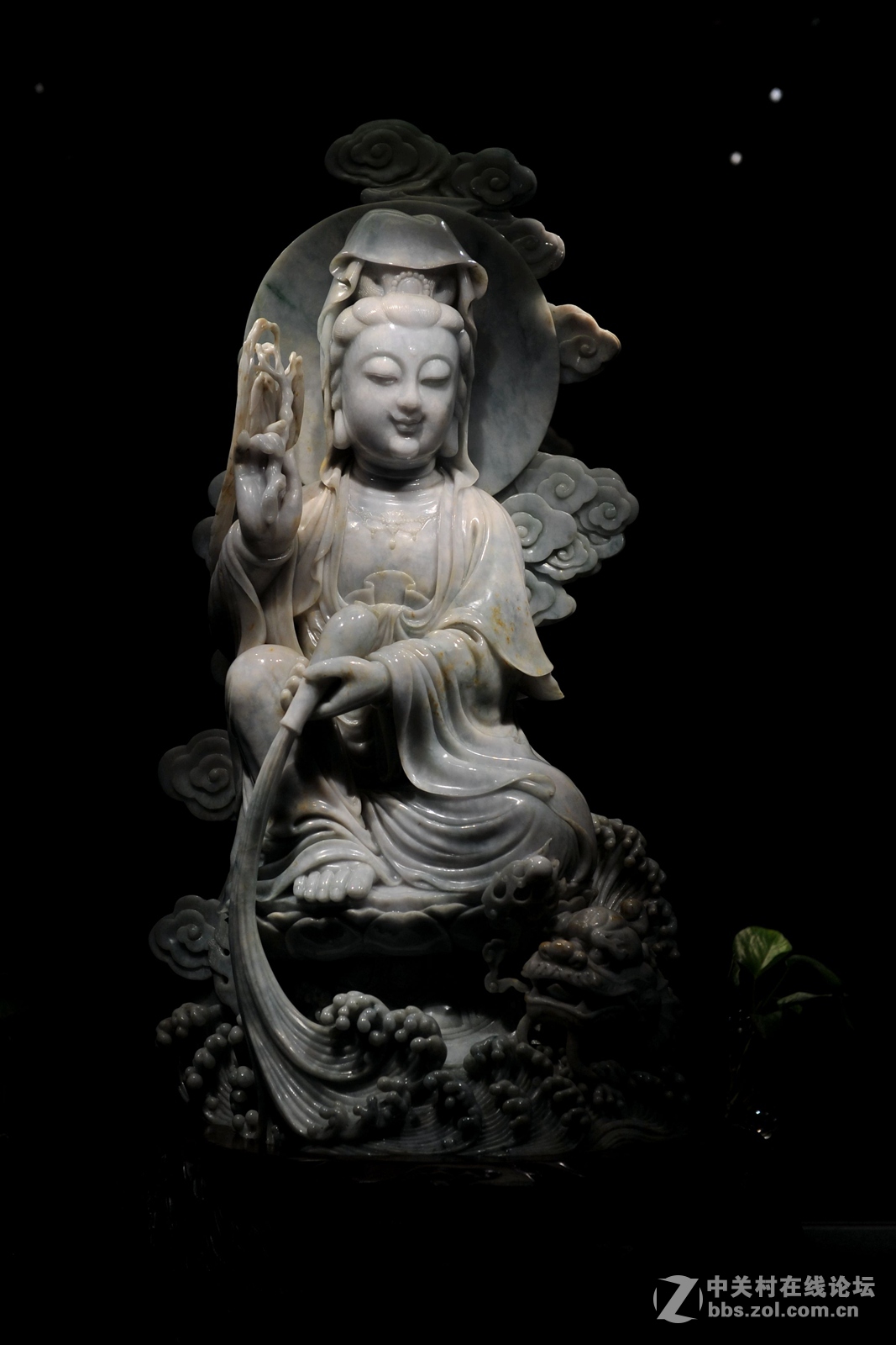 菩提萨埵--文博园摄（旭中冰雪)