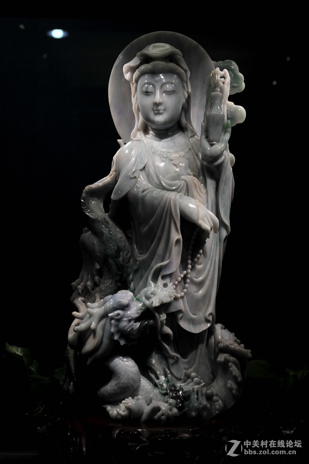 菩提萨埵--文博园摄（旭中冰雪)