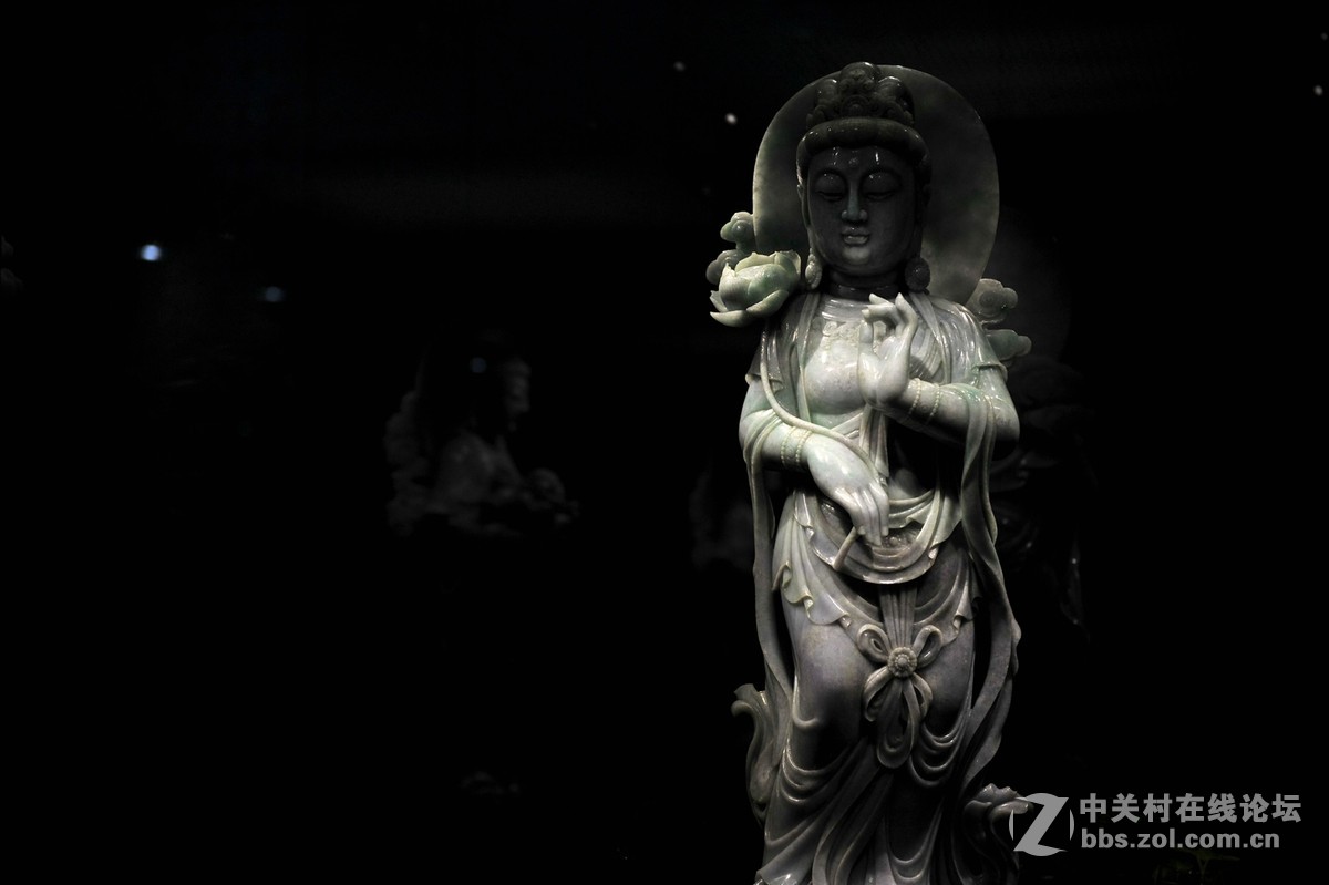 菩提萨埵--文博园摄（旭中冰雪)