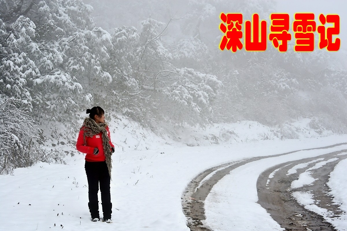 深山寻雪记！