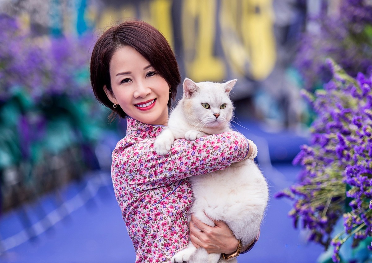可爱的猫咪。。。。。。。。。。。。!