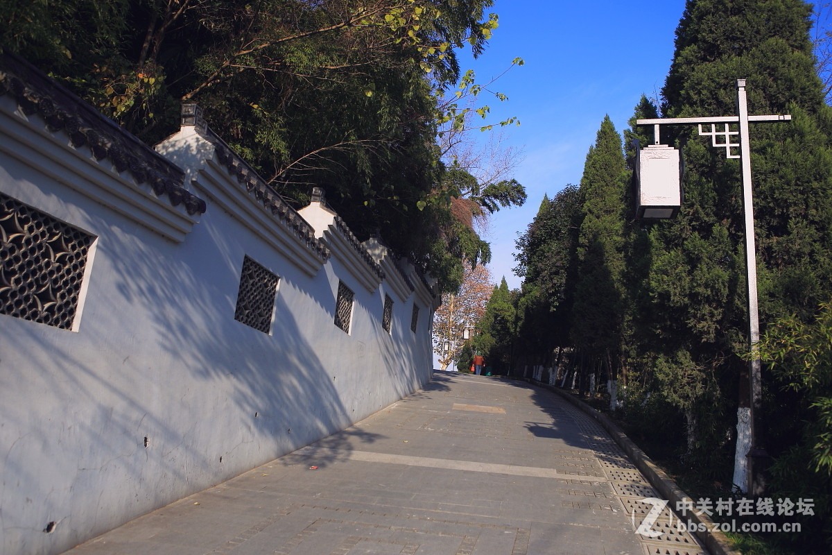 回看初冬小景