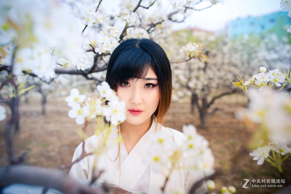 【半路】梨园香雪  5d3＋适马35人像