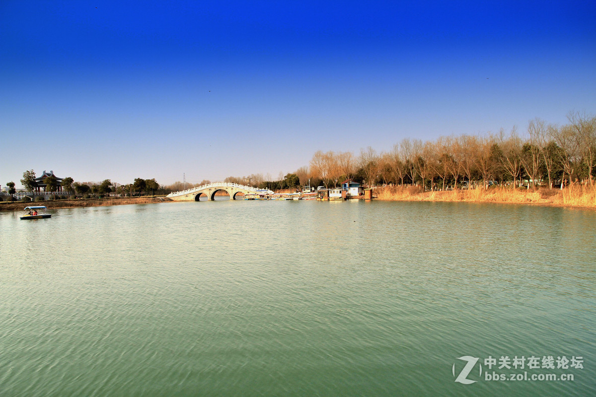 邳州沙溝湖水杉公園風景