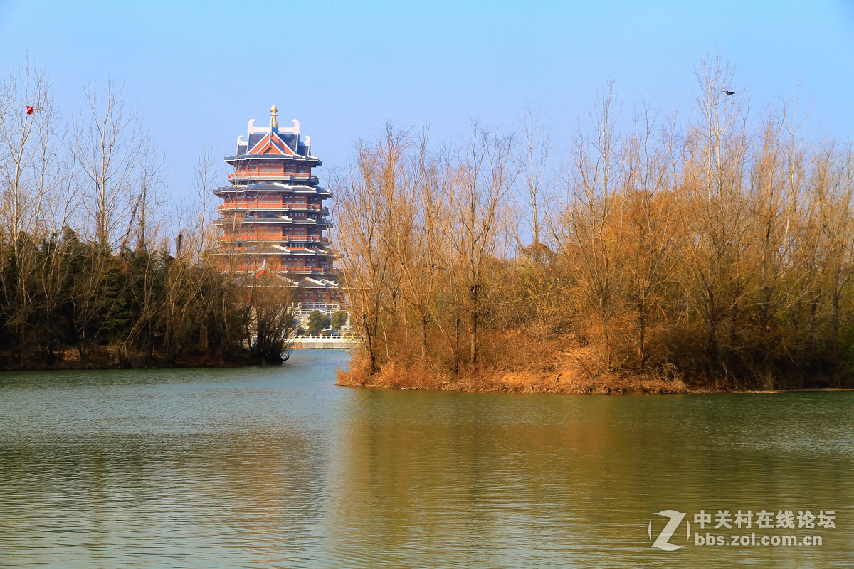 邳州沙溝湖水杉公園風景