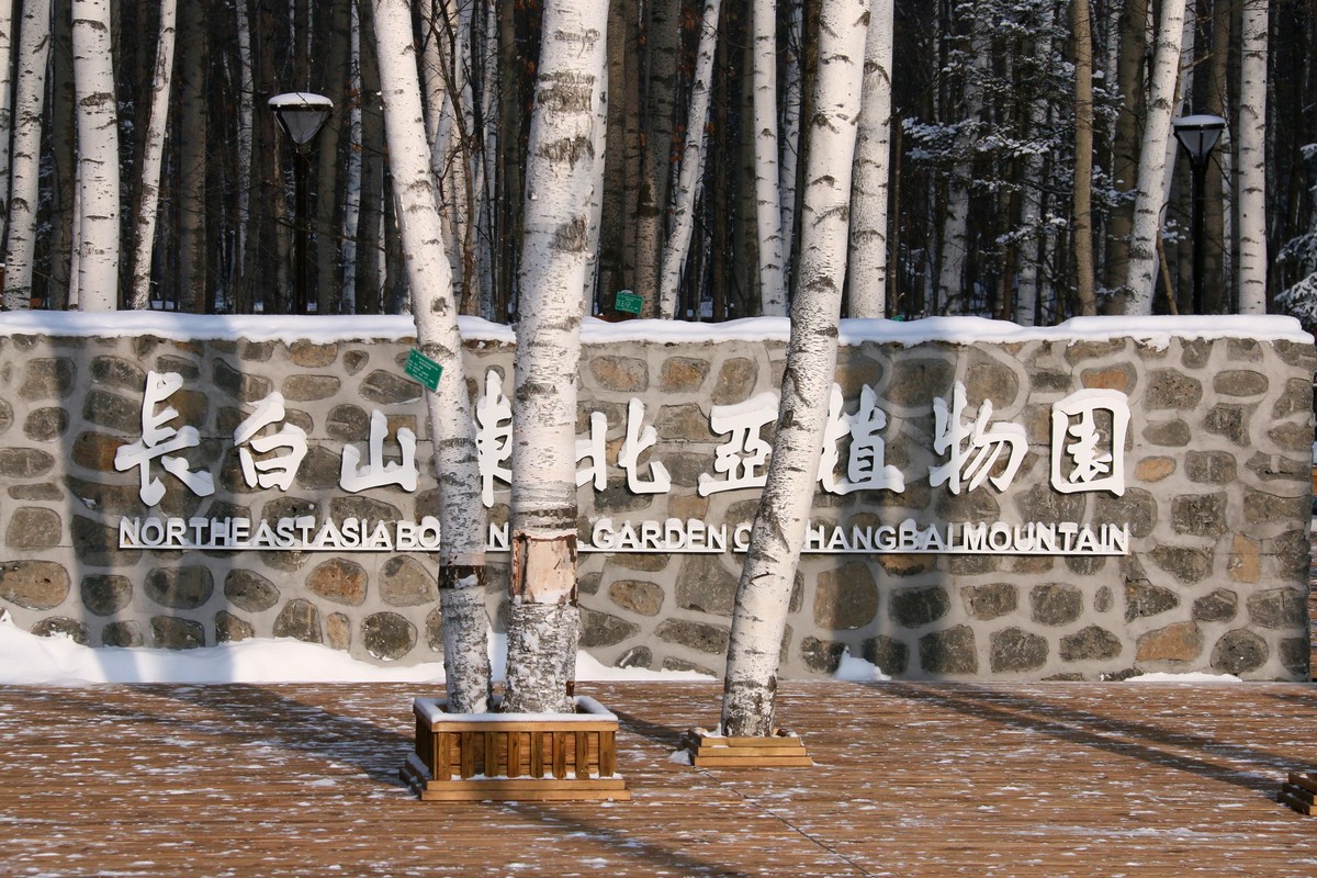 今天随拍一组长白山雪雕，雪景