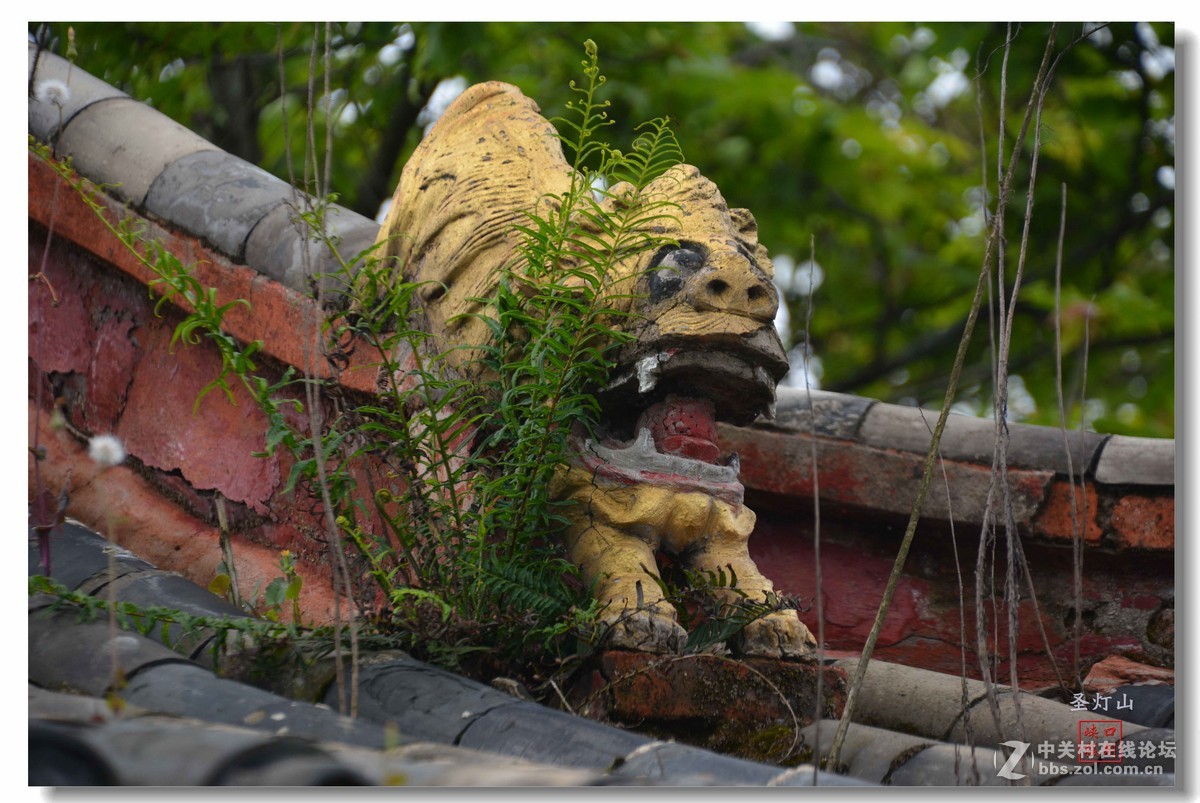 圣灯山森林公园