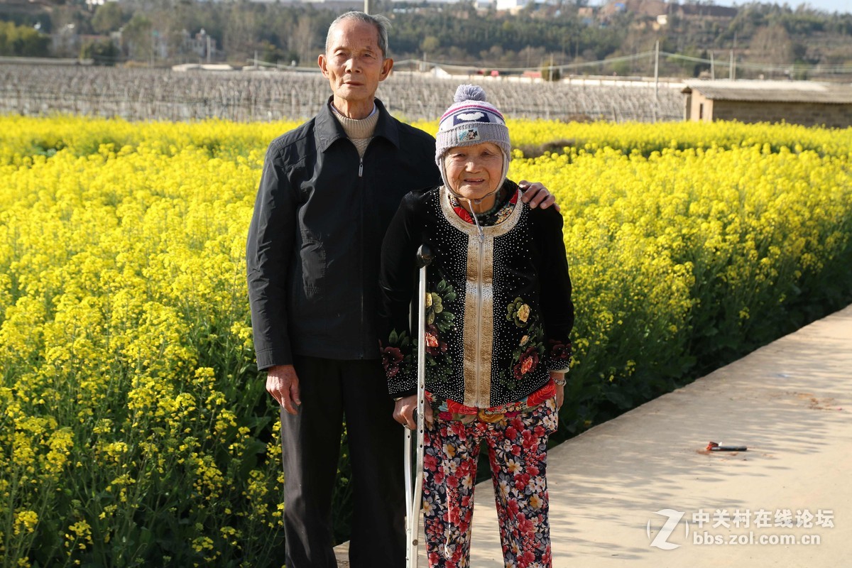 #回家#过年的本质——常回家看看