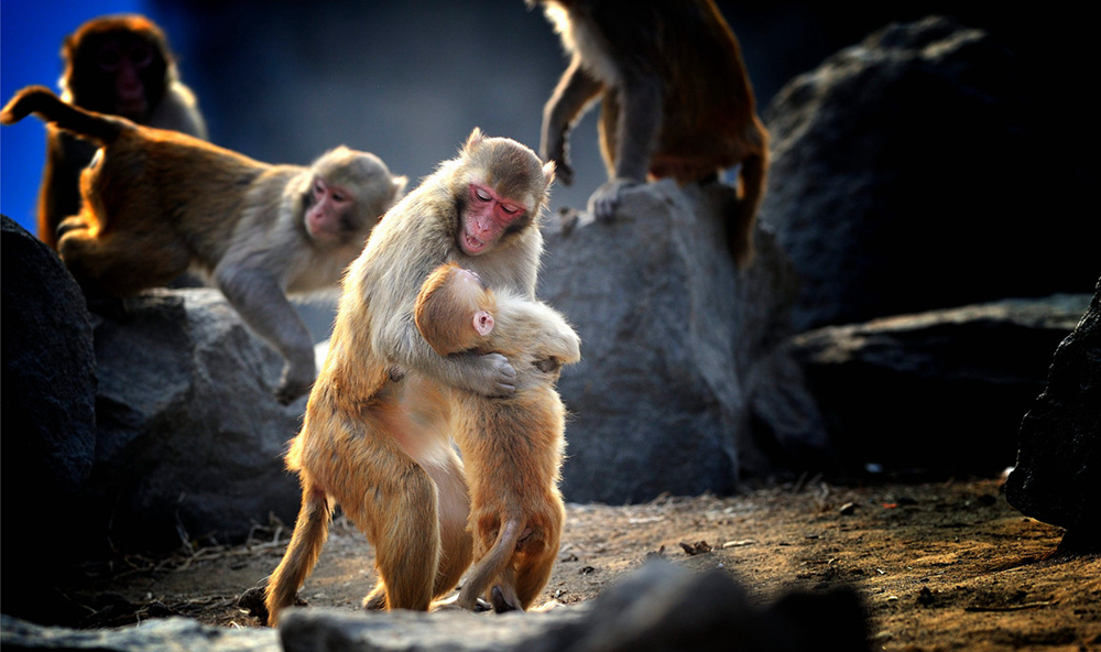 #版主坐堂# 佳能月度精选-2015年1月份优秀作品选编