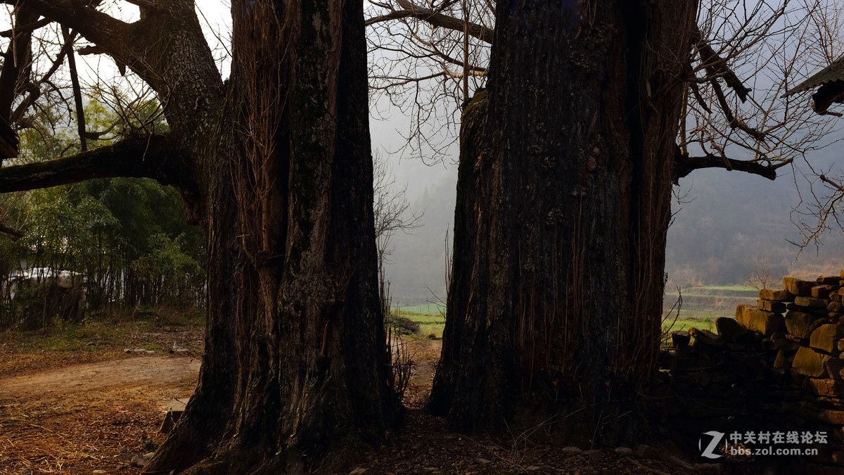 美丽乡村行，看看100t的色彩
