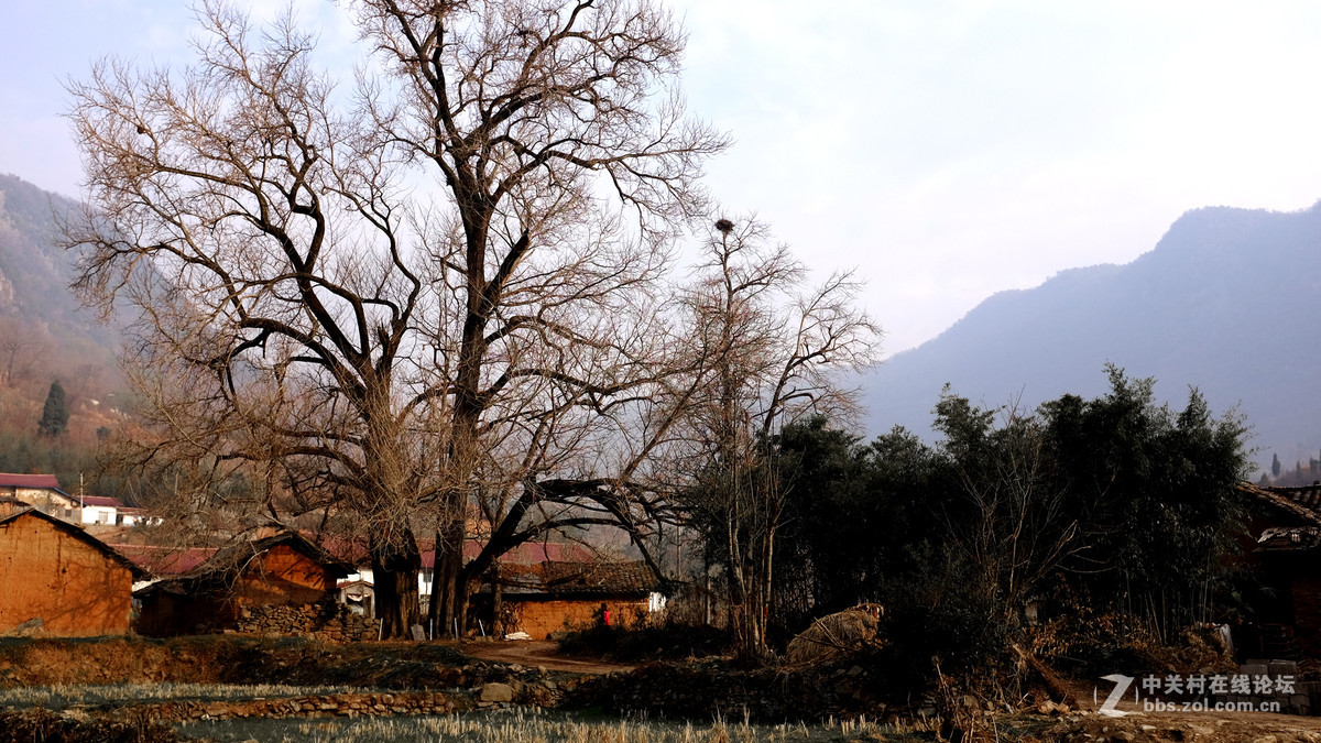 美丽乡村行，看看100t的色彩