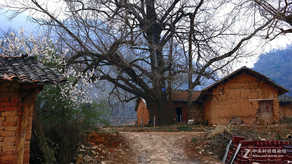 美丽乡村行，看看100t的色彩