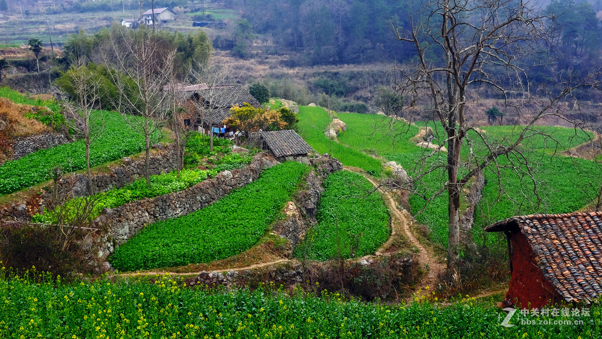 美丽乡村行，看看100t的色彩
