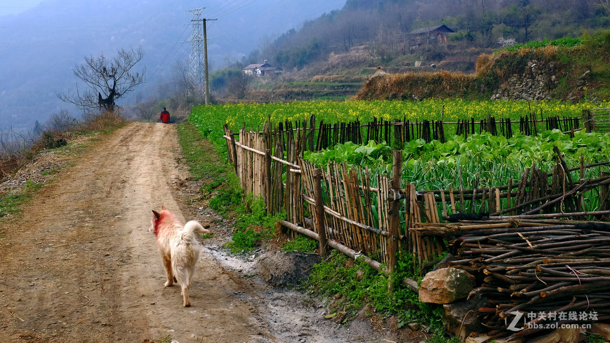 美丽乡村行，看看100t的色彩