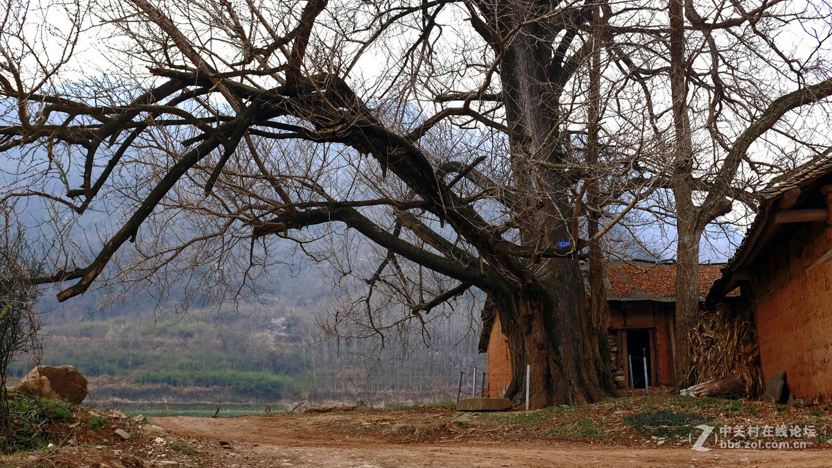 美丽乡村行，看看100t的色彩