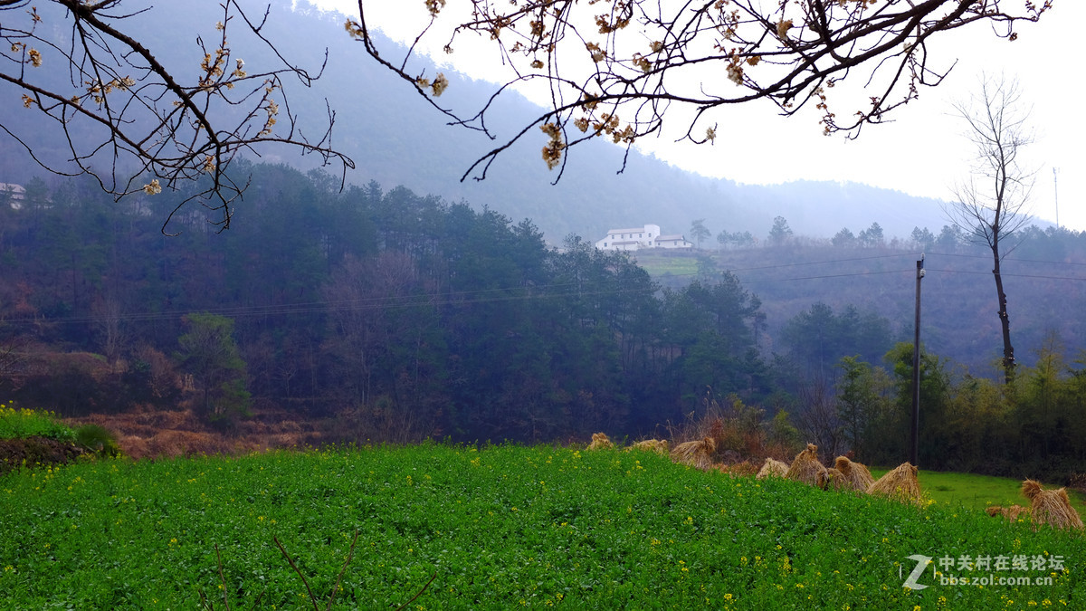 美丽乡村行，看看100t的色彩