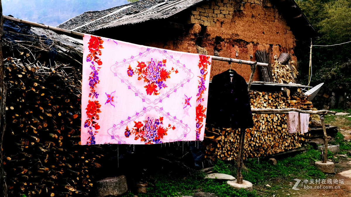 美丽乡村行，看看100t的色彩