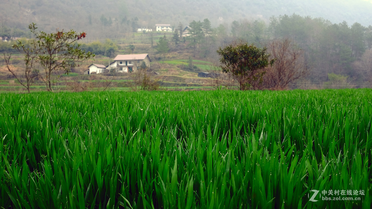 美丽乡村行，看看100t的色彩