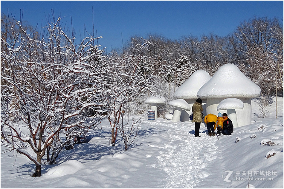 【  冰雪童话世界  】