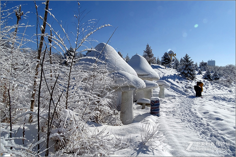 【  冰雪童话世界  】