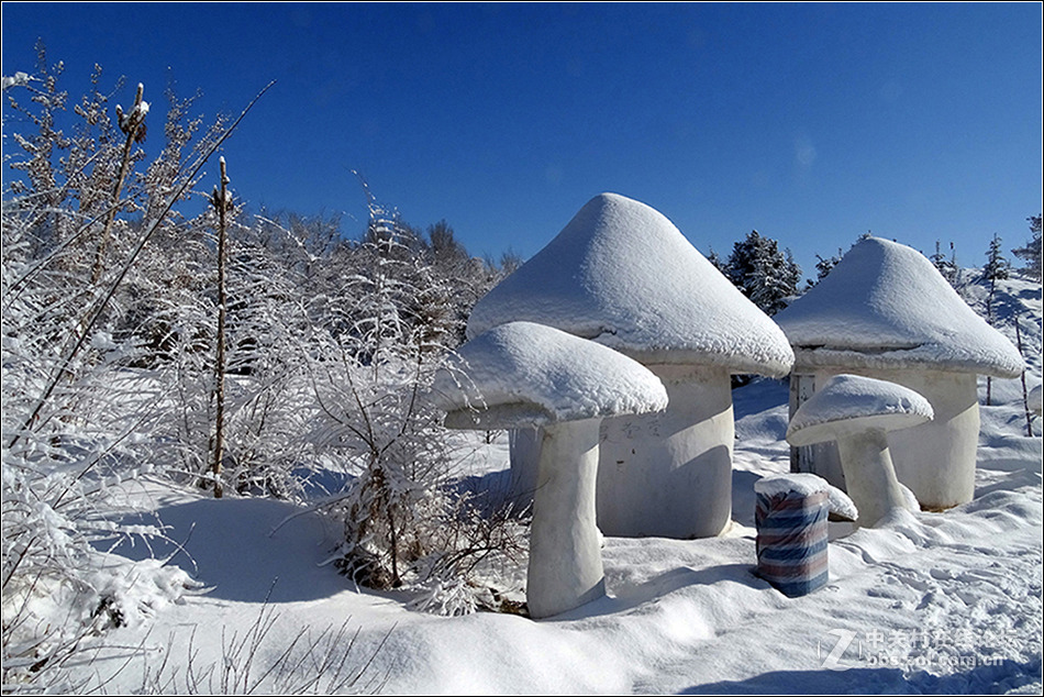 【  冰雪童话世界  】