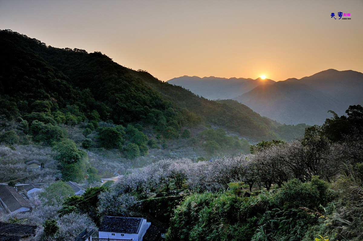 2015揭西行——西坑梅乡(续)