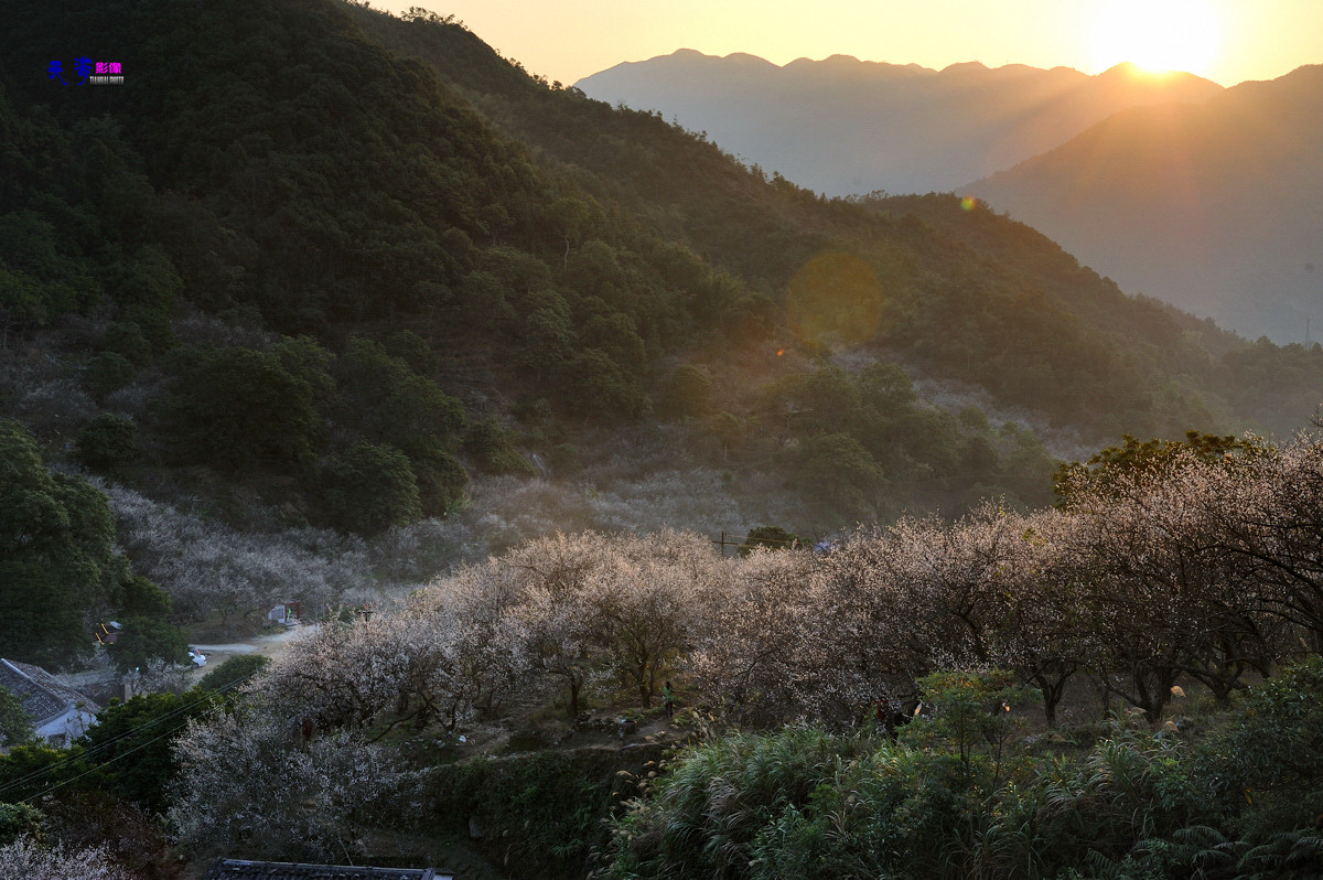2015揭西行——西坑梅乡(续）