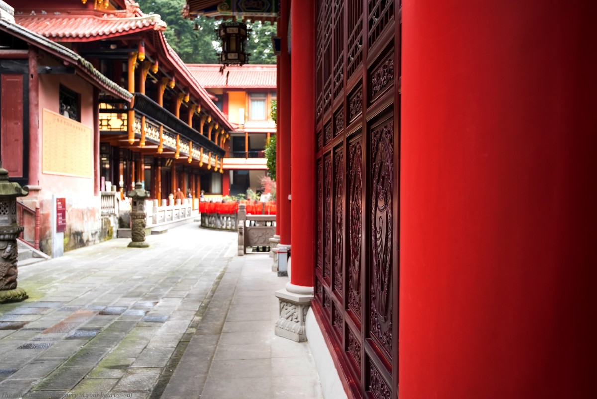 《问佛》第二部...普照寺印象。