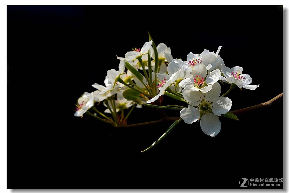 #版主坐堂# [尼康D7100星空(中国)] 2015年5月份优秀精华作品总汇