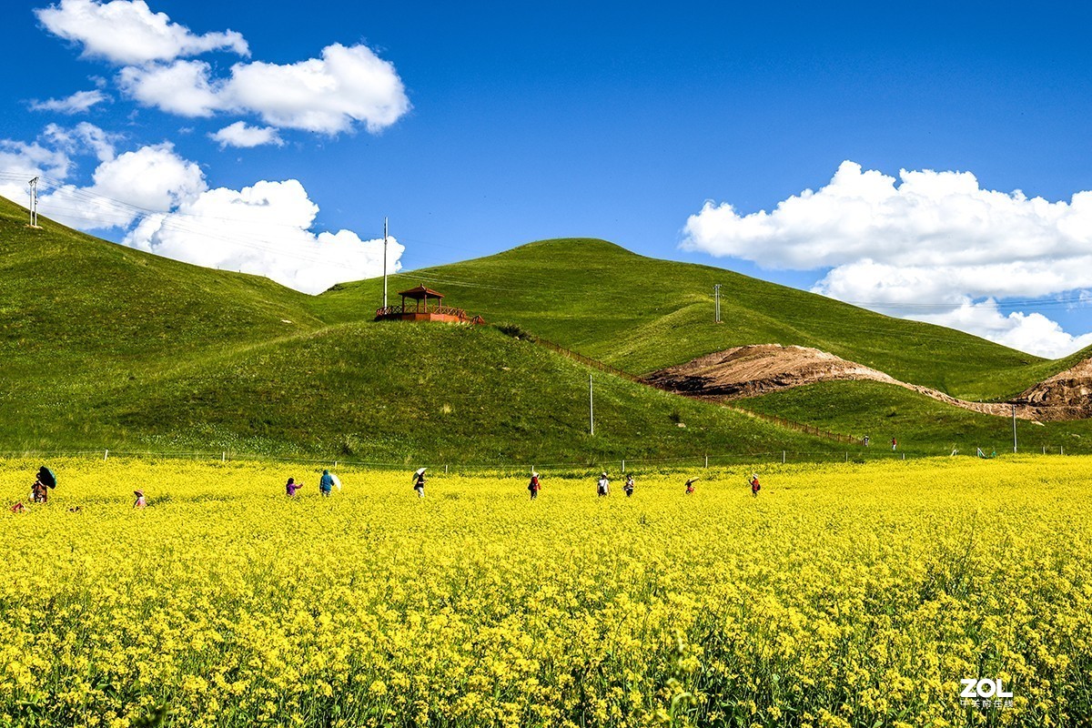 甘肃夏河桑科草原风光